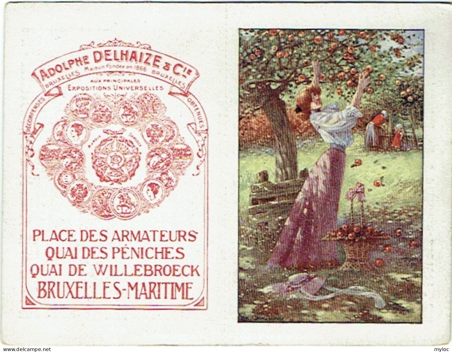 Calendrier Adolphe Delhaize.  Bruxelles 1918.  - Kleinformat : 1901-20