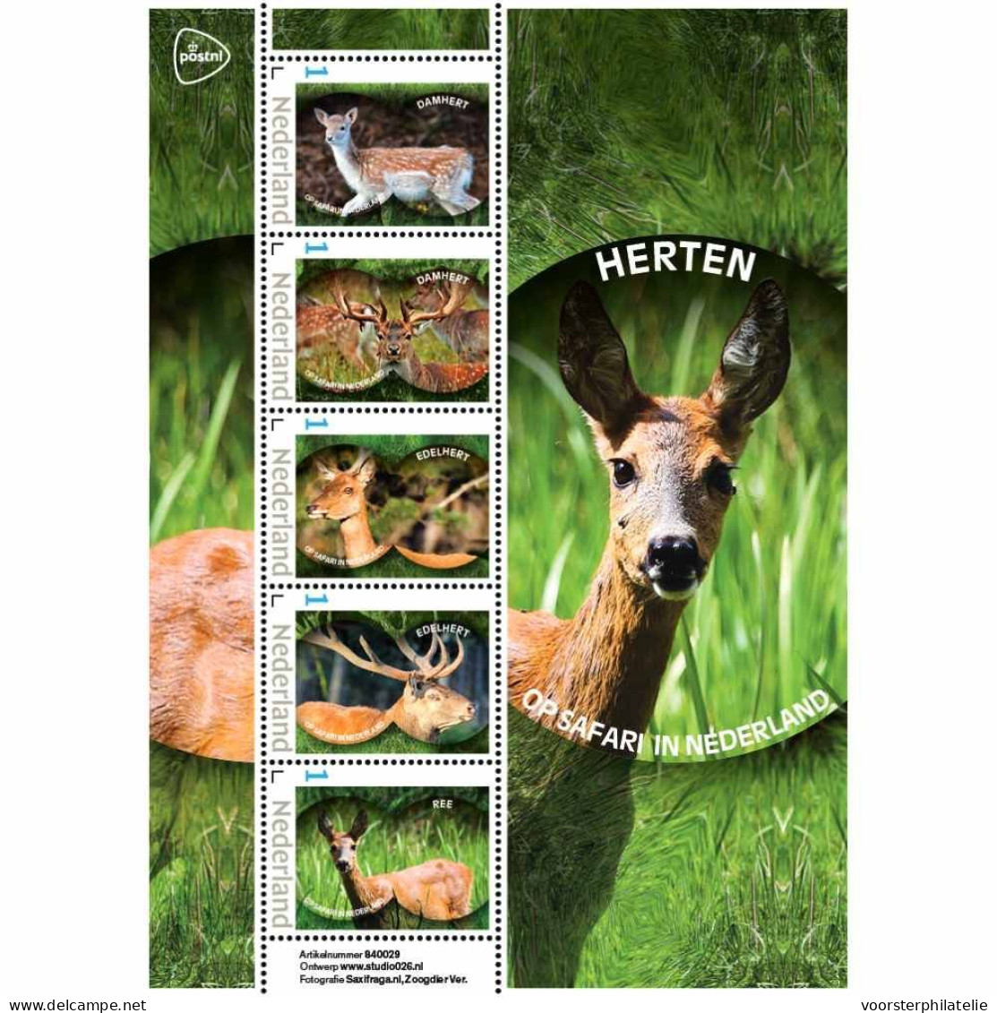 D(B) 208 ++ NETHERLANDS MNH ** 2024 HERTEN HERT DEER CERF - Ongebruikt