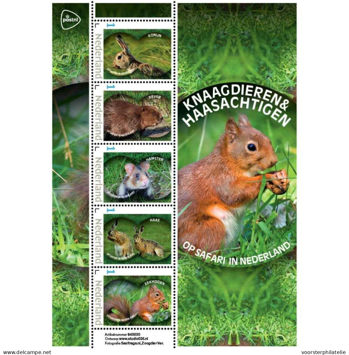 D(B) 208 ++ NETHERLANDS MNH ** 2024 KNAAGDIEREN RONGEURS RODENTS NAGETIERE - Ungebraucht