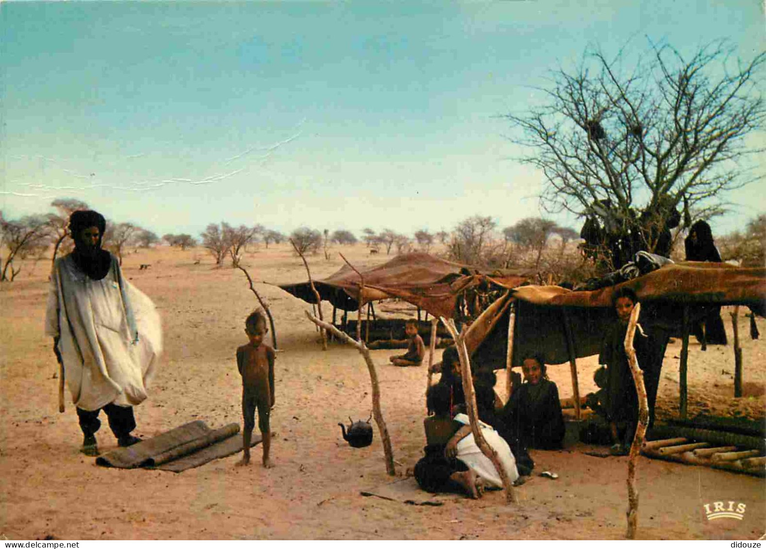 Niger - Campennent Touareg - CPM - Voir Scans Recto-Verso - Níger