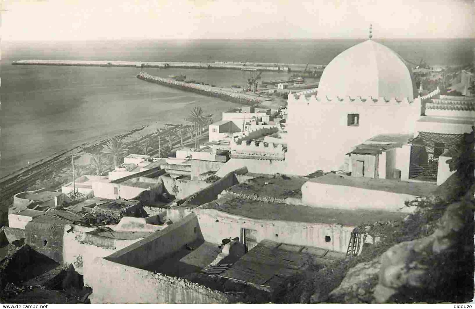 Maroc - Agadir - Port Founti - Marabout De Sidi Boukenadel - Carte Dentelée - CPSM Format CPA - Carte Neuve - Voir Scans - Agadir