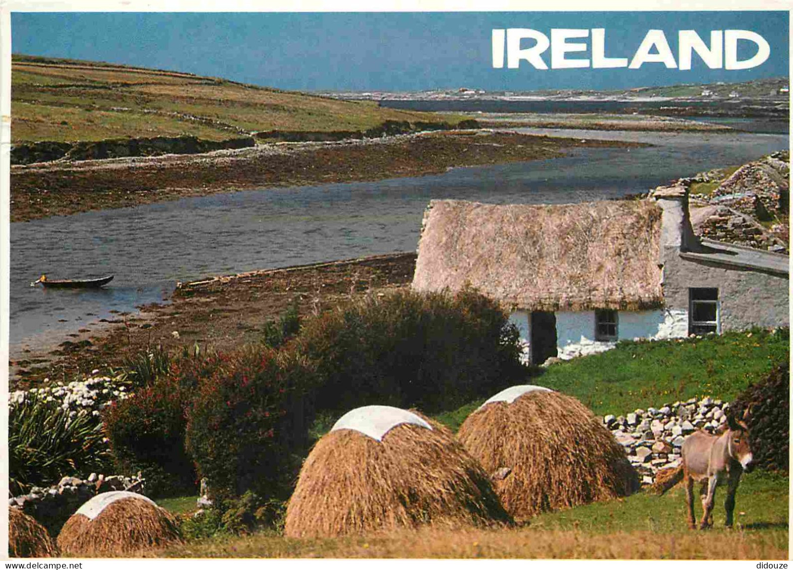 Irlande - Galway - Connemara - Anes - Irish Cottage - CPM - Voir Scans Recto-Verso - Galway