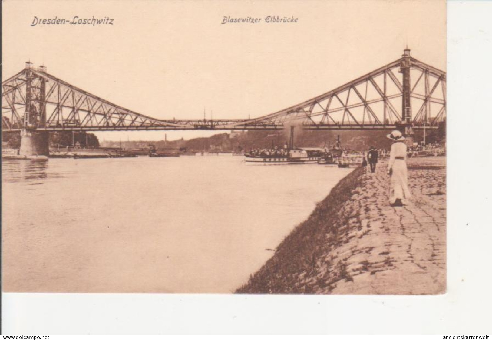 Dresden-Loschwitz Blasewitzer Elbbrücke Ngl #94.215 - Bridges