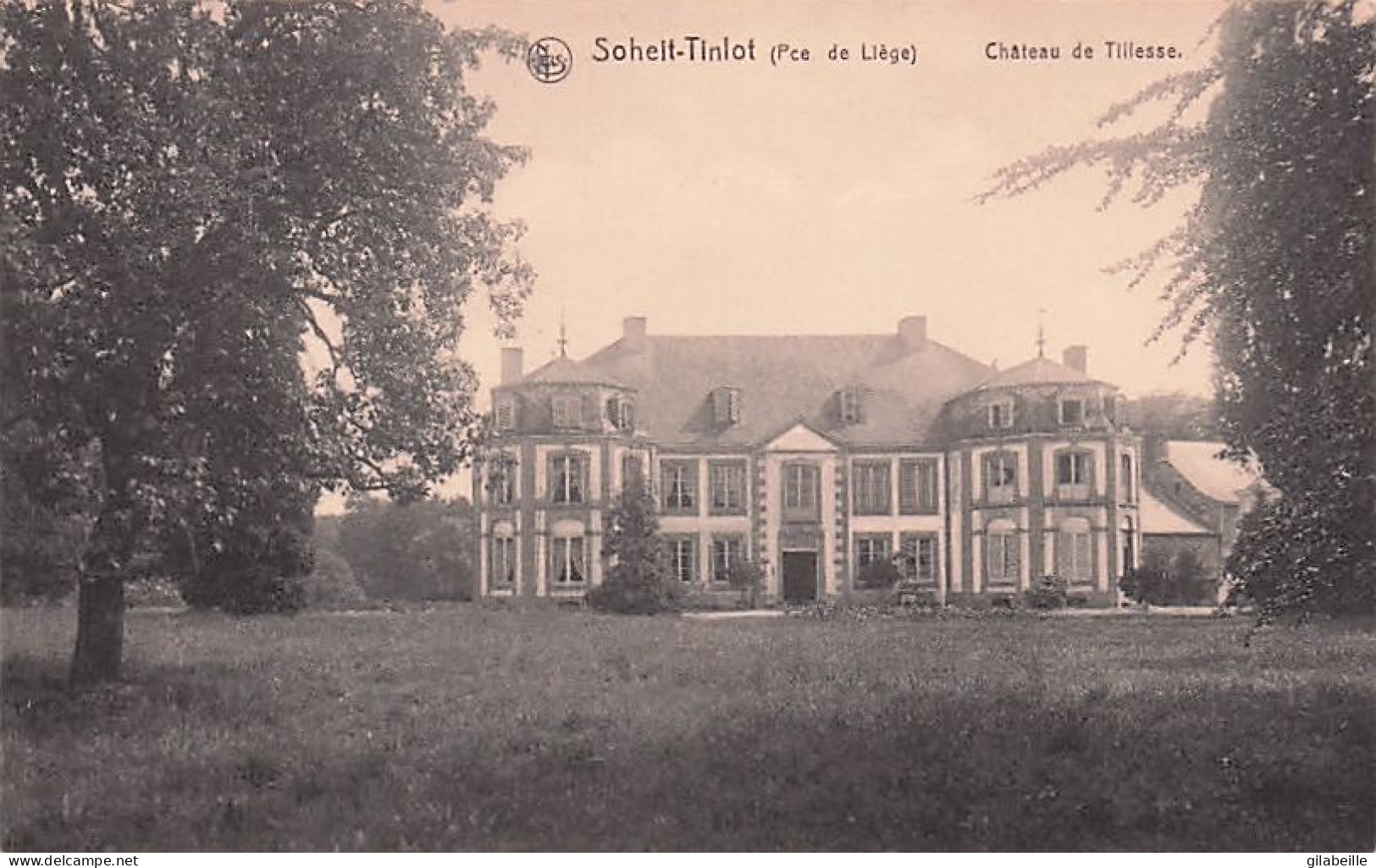 Tinlot - SOHEIT  - Chateau De Tillesse - Tinlot
