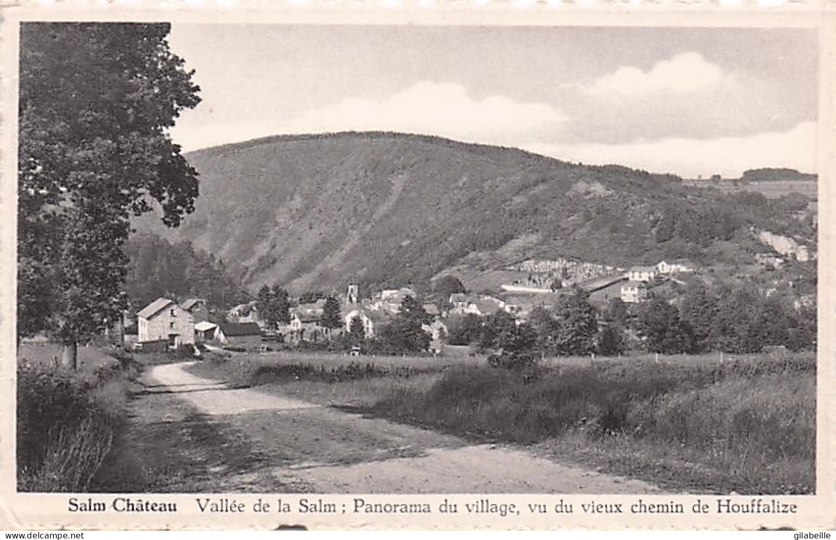 Vielsam - SALM CHATEAU - Vallée De La Salm - Panorama Du Village Vu Du Vieux Chemin De Houffalize - Vielsalm
