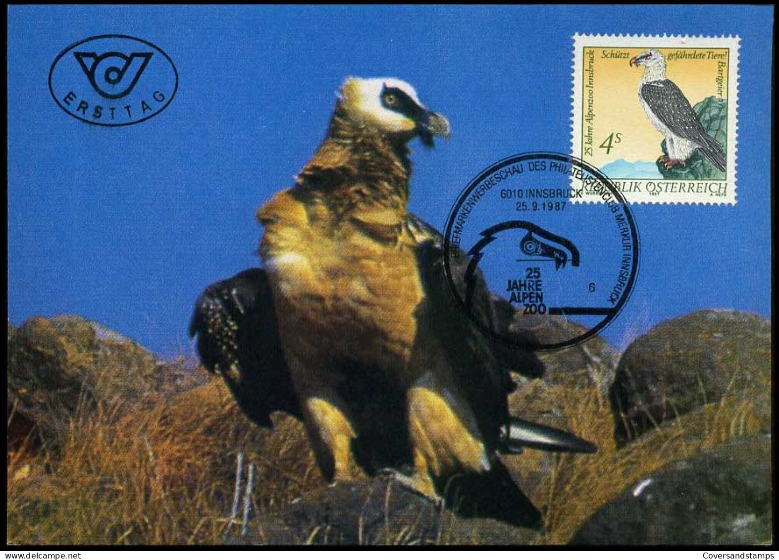 österreich - Maximum Card - Schützt Gefährdete Tiere - Eagles & Birds Of Prey