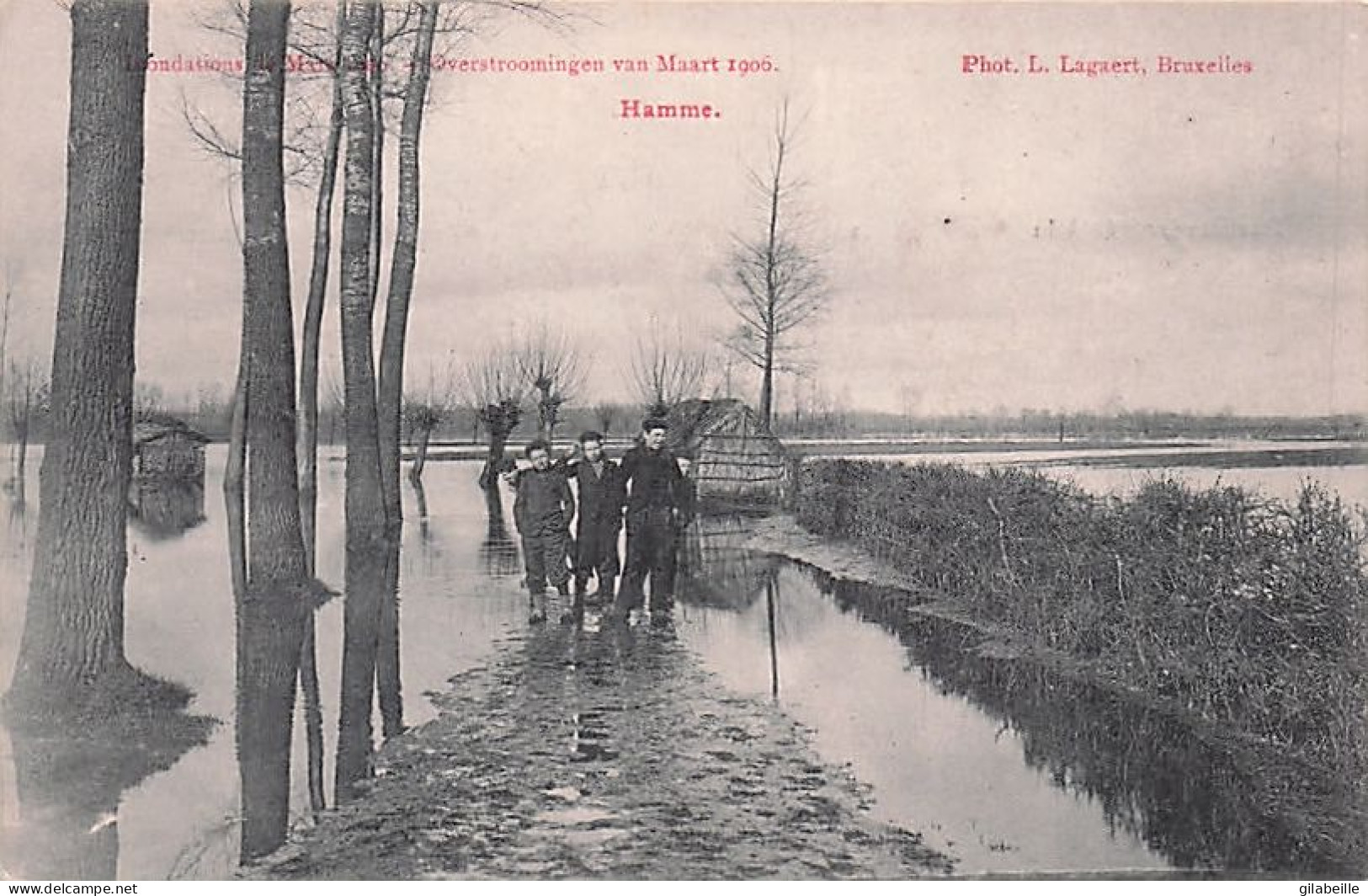 HAMME - Overstroomingen Van Maart 1906 - Inondations De Mars 1906 - Hamme