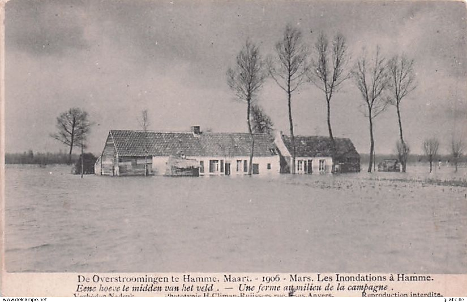 HAMME  - Overstromingen Te Hamme Maart 1906 - Eene Hoeve Te Midden Van Het Veld - Ferme Au Milieu De La Campagne - Hamme