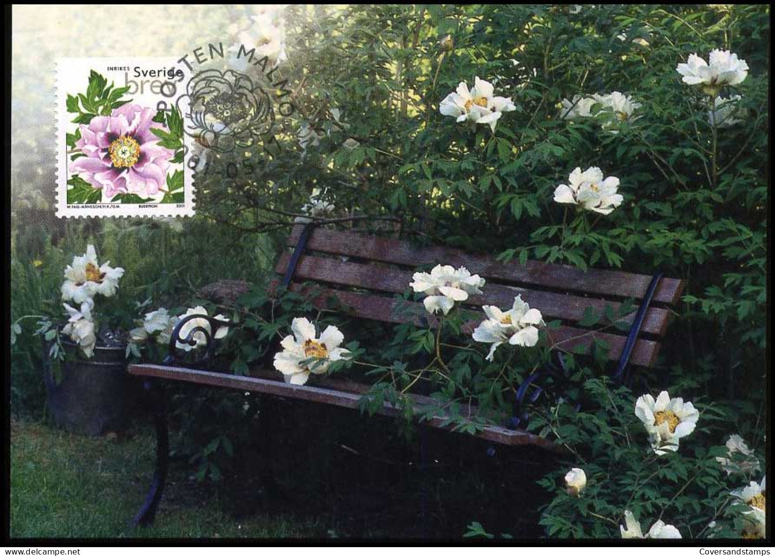 Sweden - Maximum Card - Tree Peony - Roses