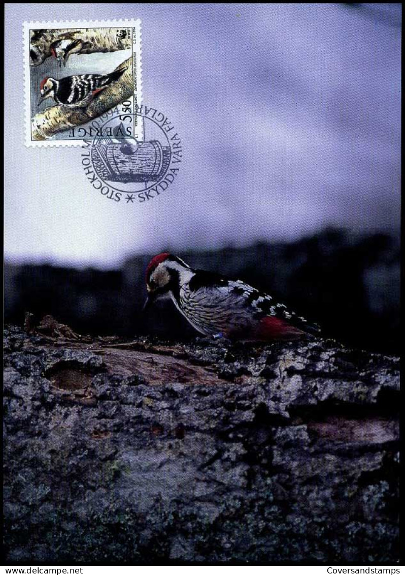 Sweden - Maximum Card - Protect Our Birds - Picchio & Uccelli Scalatori