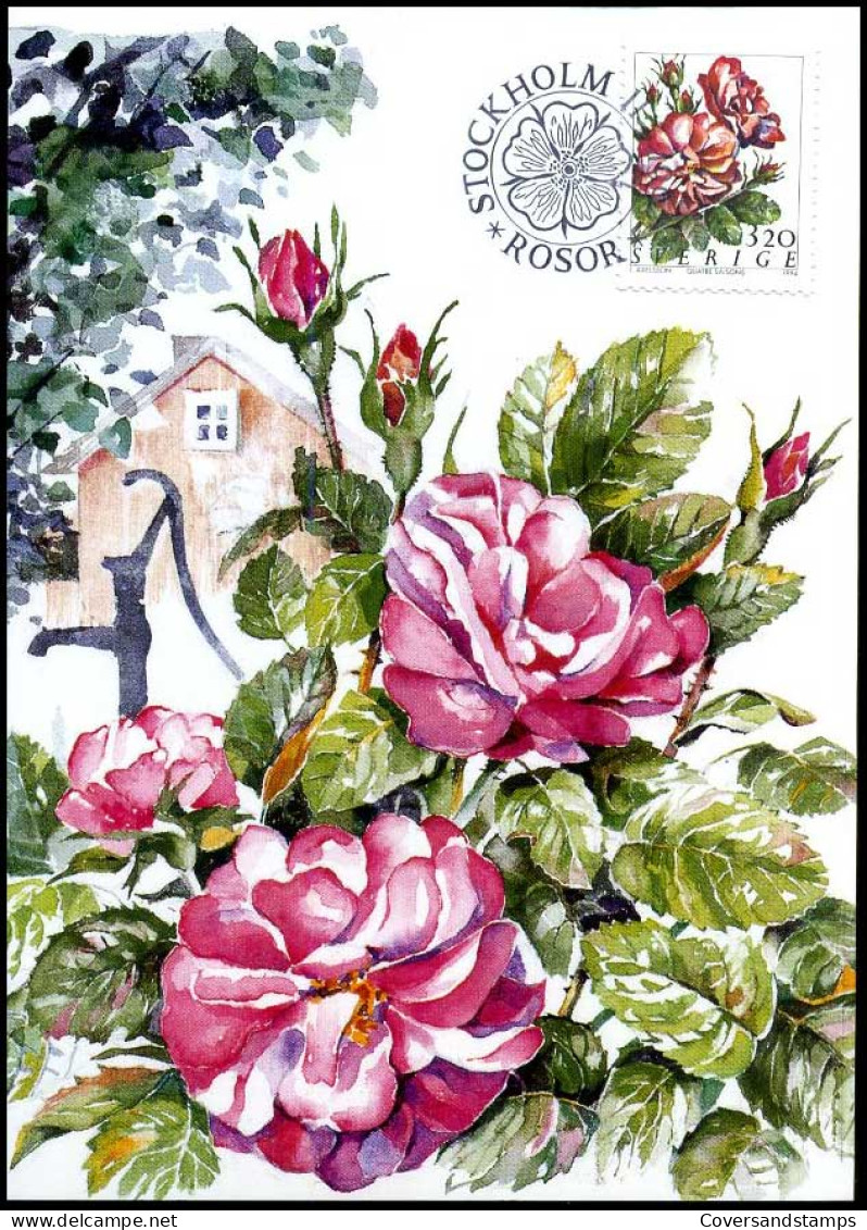 Sweden - Maximum Card - Roses, Quatre Saisons - Rosas