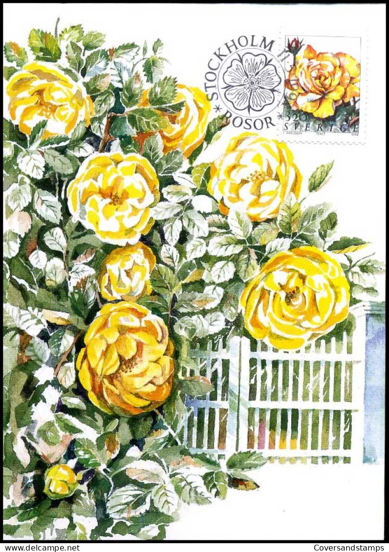 Sweden  - Maximum Card - Roses  - Roses