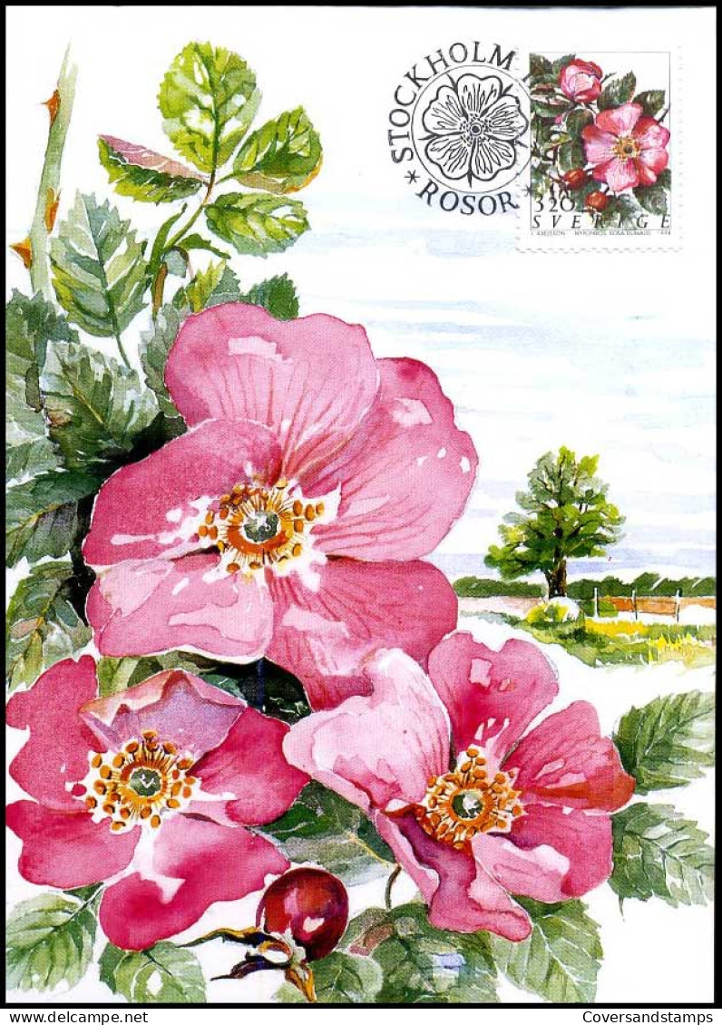 Sweden  - Maximum Card - Roses  - Rosas