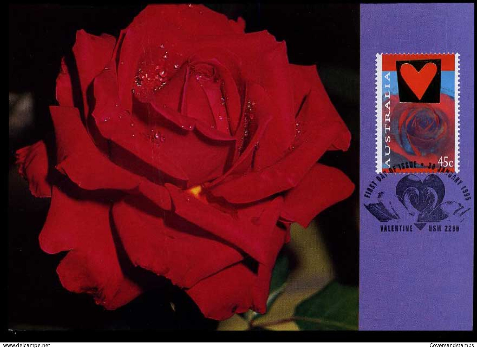 Australia - Maximum Cards - Roses - Roses