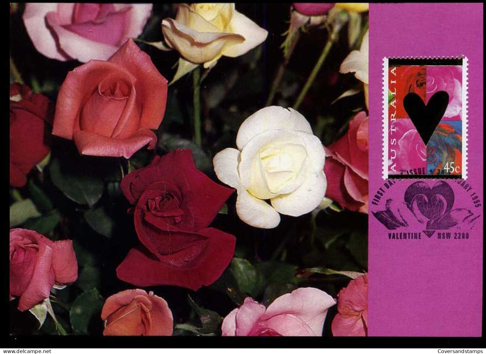 Australia - Maximum Cards - Roses - Rose