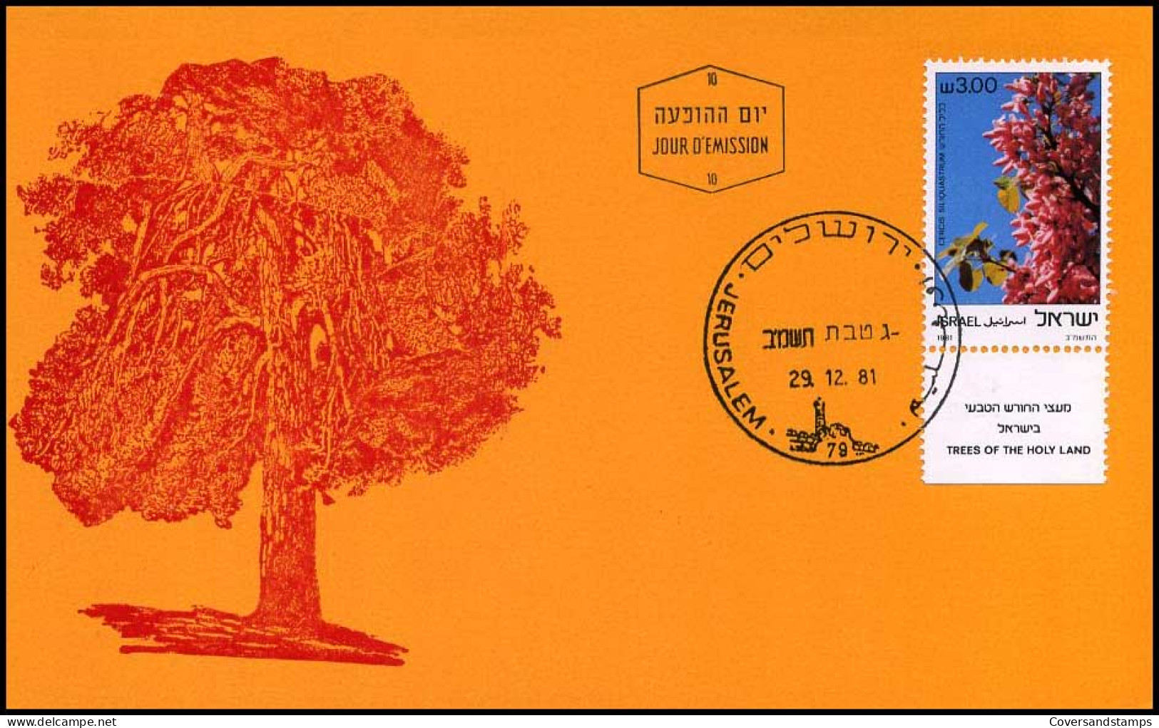 Israel - Maximum Card - Trees Of The Holy Land - Trees