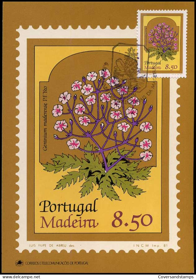 Portugal Madeira - Postcard  - Andere & Zonder Classificatie