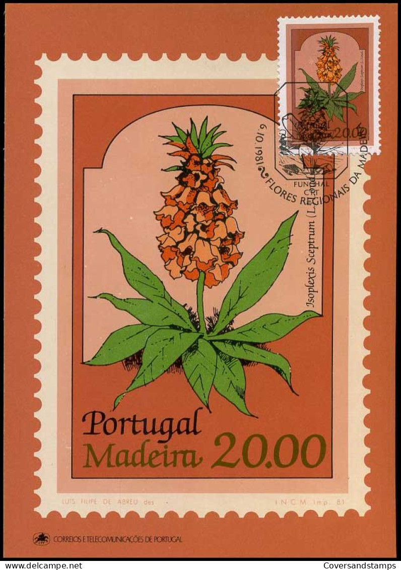 Portugal Madeira - Postcard  - Andere & Zonder Classificatie