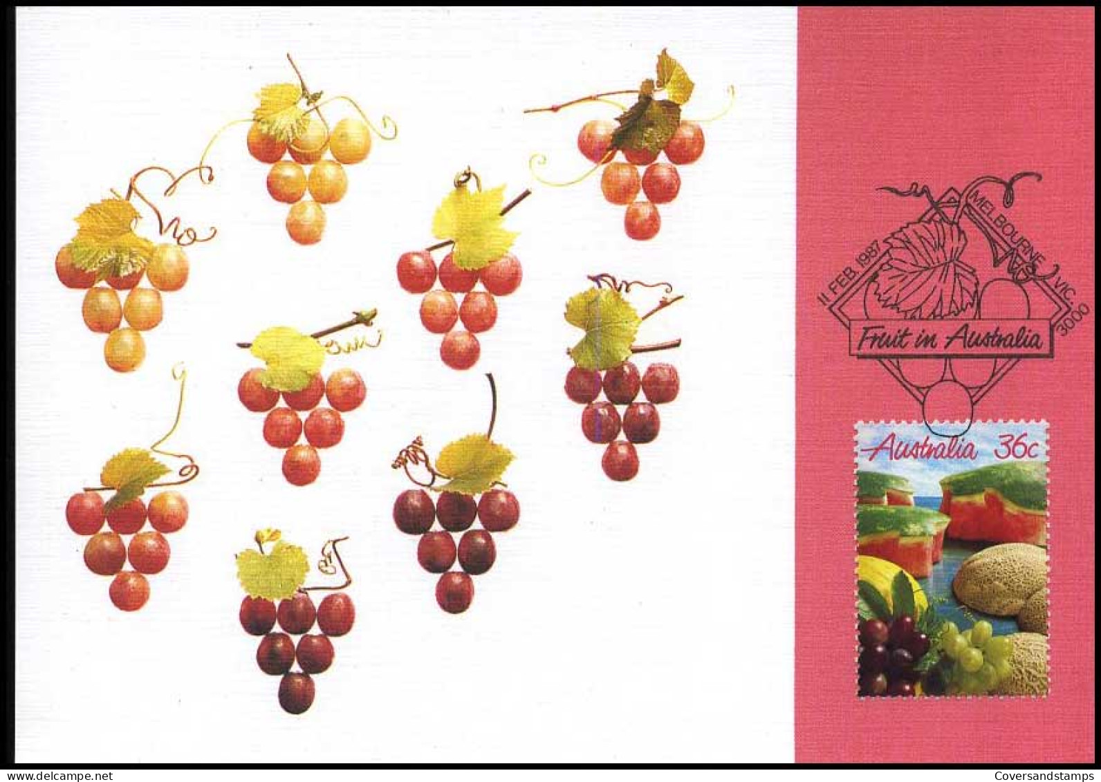 Australia - Maximum Card - Fruit - Frutta