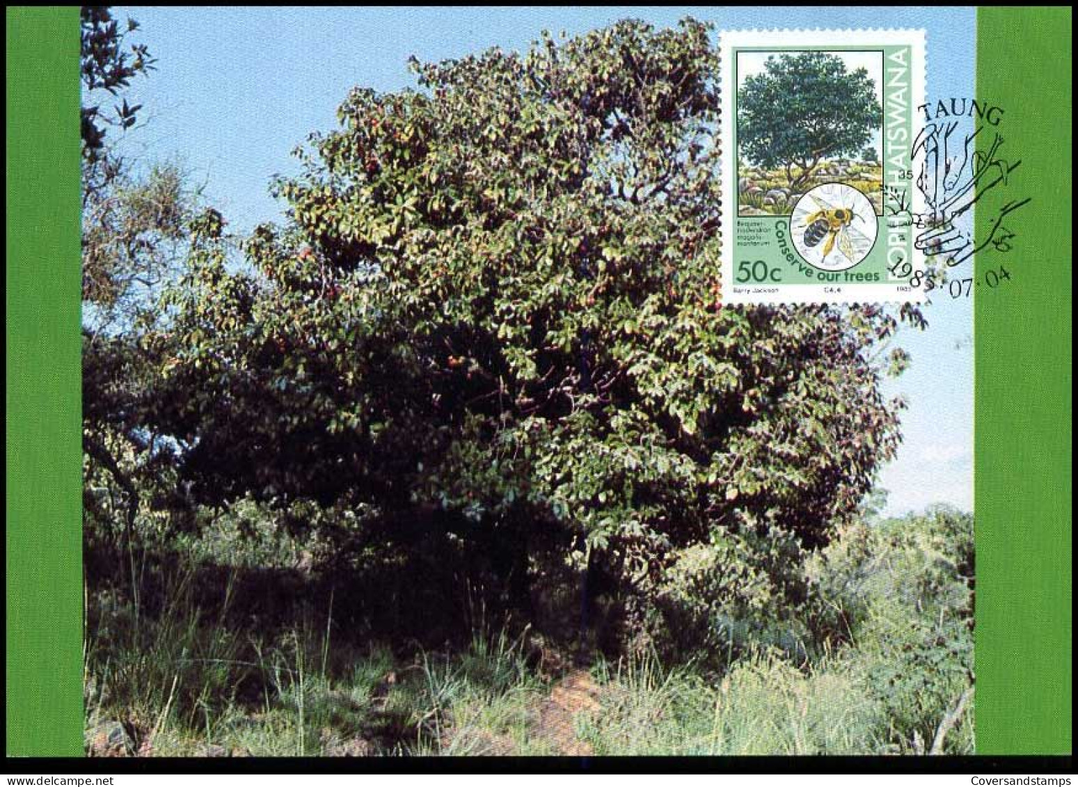 Bophuthatswana - Maximumcard - Conserve Our Trees - Trees