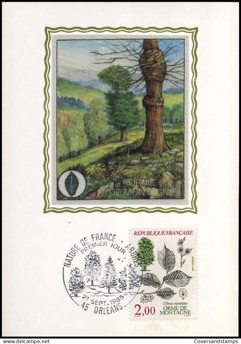 France - Maximumcard - Orme De Montagne - Trees