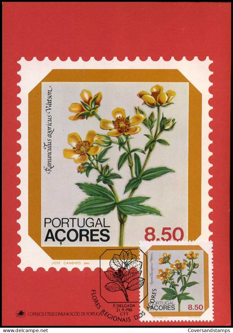 Portugal Açores - Maximumcard - Flowers - Sonstige & Ohne Zuordnung