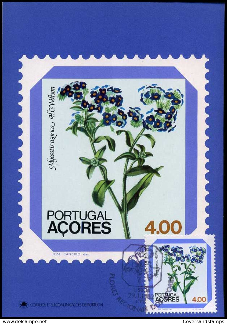 Portugal Açores - Maximumcard - Flowers - Sonstige & Ohne Zuordnung