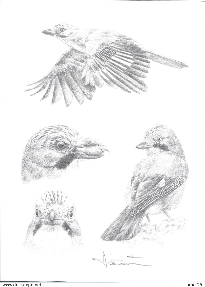 Lithographie Buzin Signée 24 - 1985-.. Pájaros (Buzin)