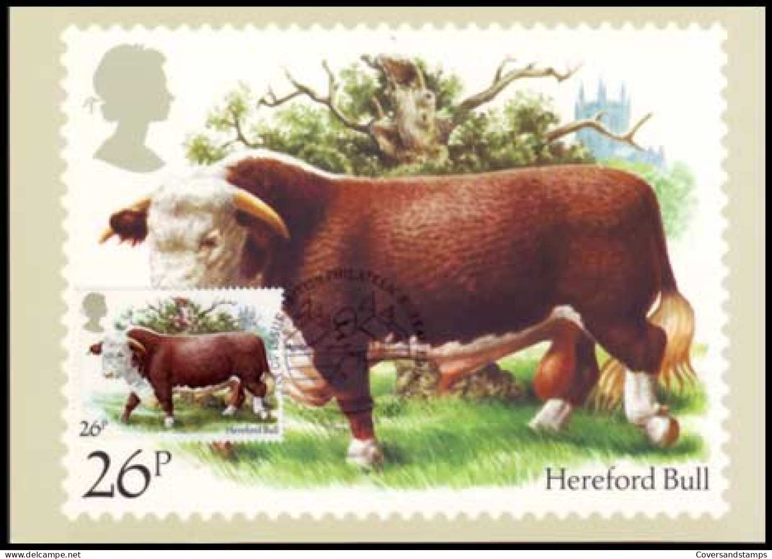 Groot-Brittannië - Dieren - Hereford Bull - MK - - Maximumkaarten