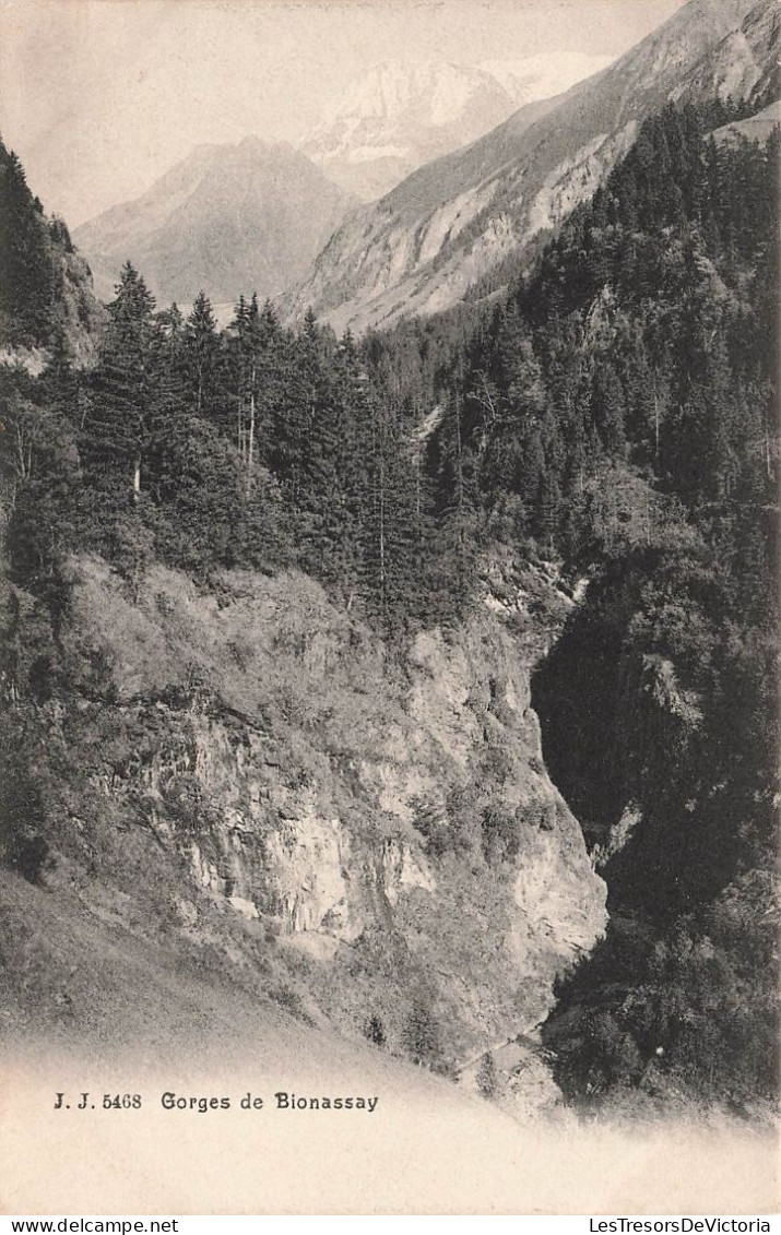 FRANCE - Saint Gervais Les Bains - Gorges De Bionnassay - Carte Postale Ancienne - Saint-Gervais-les-Bains