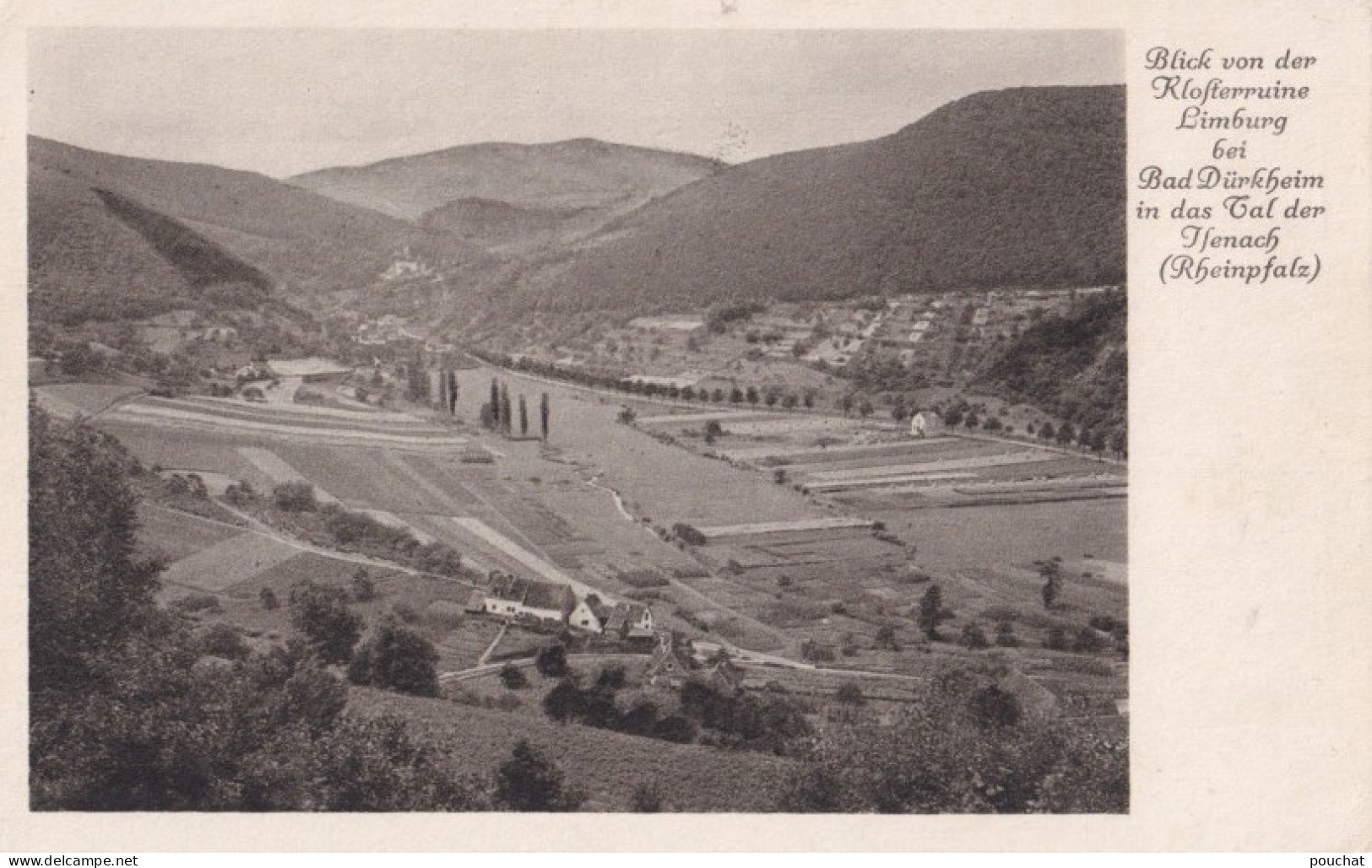 E6- BLICK  VON DER KLOSTERRUINE LIMBURG BEI BAD DURKHEIM IN DAS TAL DER HENAC - ( 2 SCANS ) - Bad Duerkheim