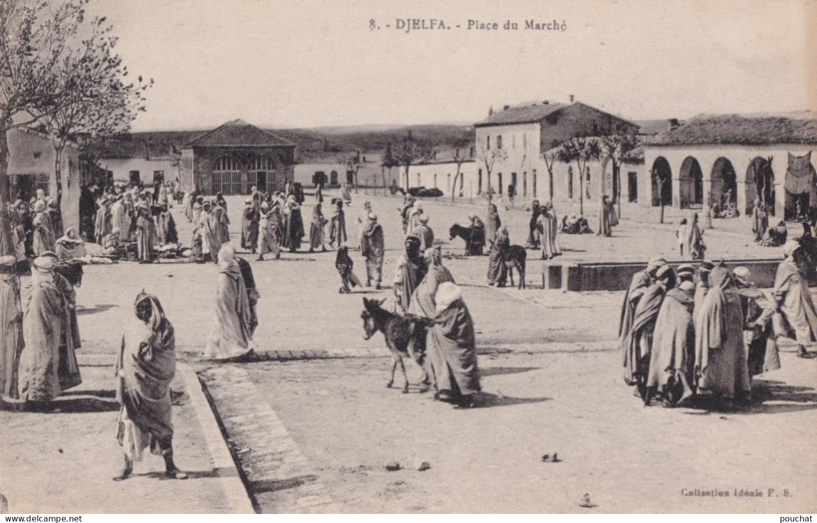 E12- DJELFA (ALGERIE) PLACE DU MARCHE  - ANIMEE - ( 2 SCANS ) - Djelfa