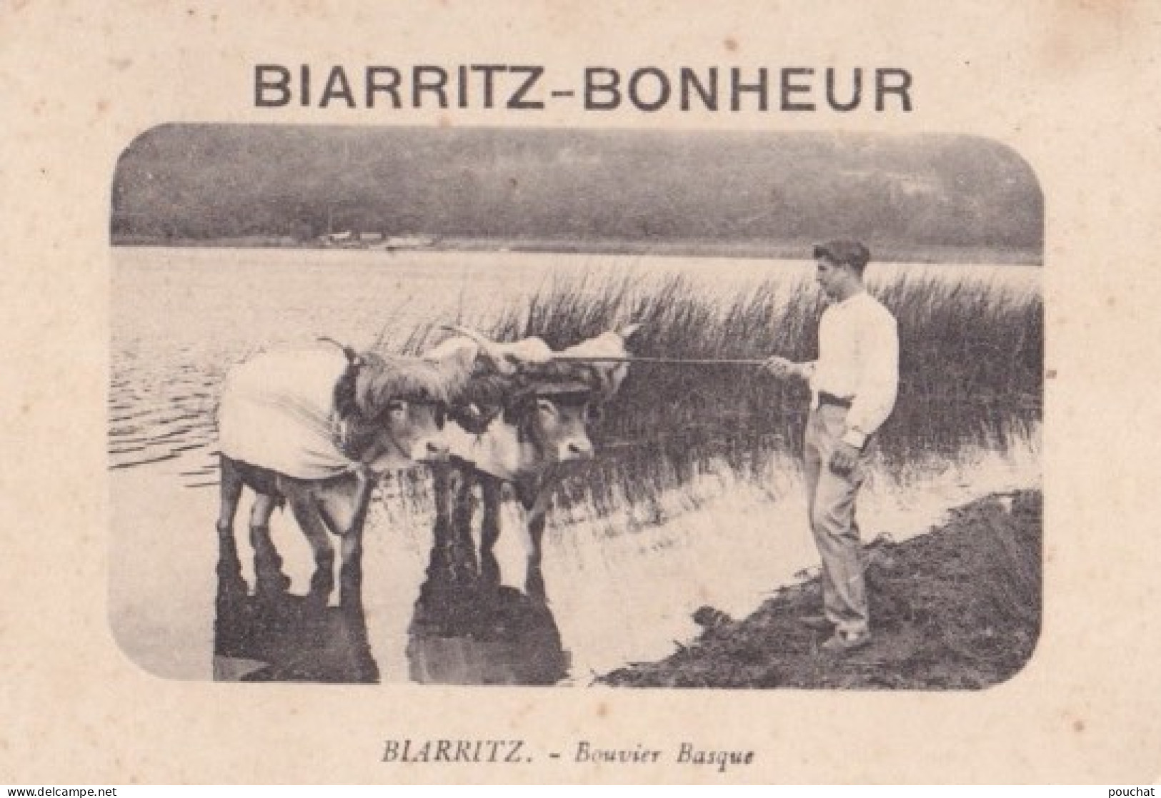 E12- BIARRITZ - BONHEUR - CALENDRIER HEURES DES MAREES - BOUVIER BASQUE( 2 SCANS ) - Klein Formaat: 1921-40