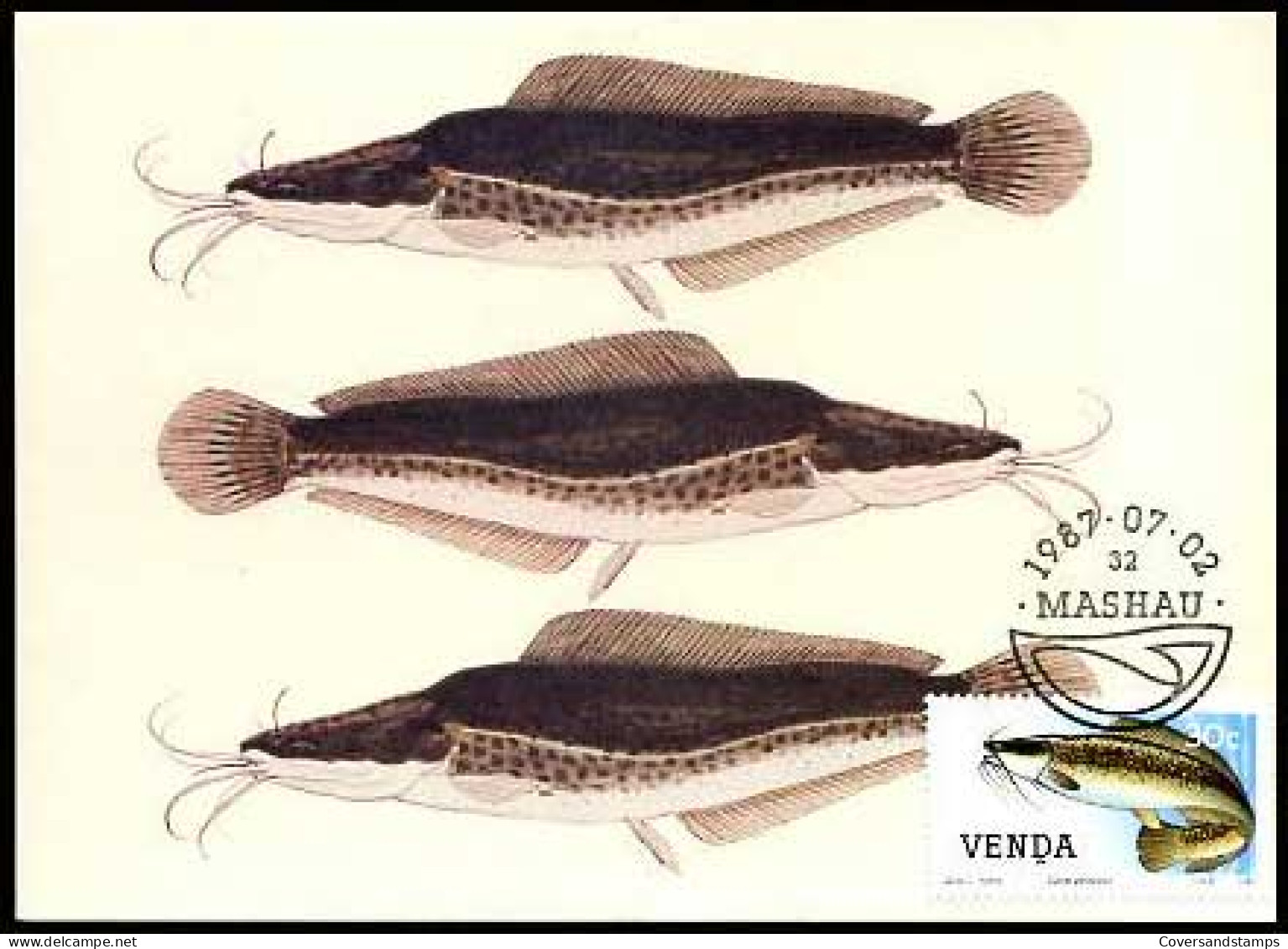 Zuid-Afrika - Freshwater Fish - MK - - Autres & Non Classés