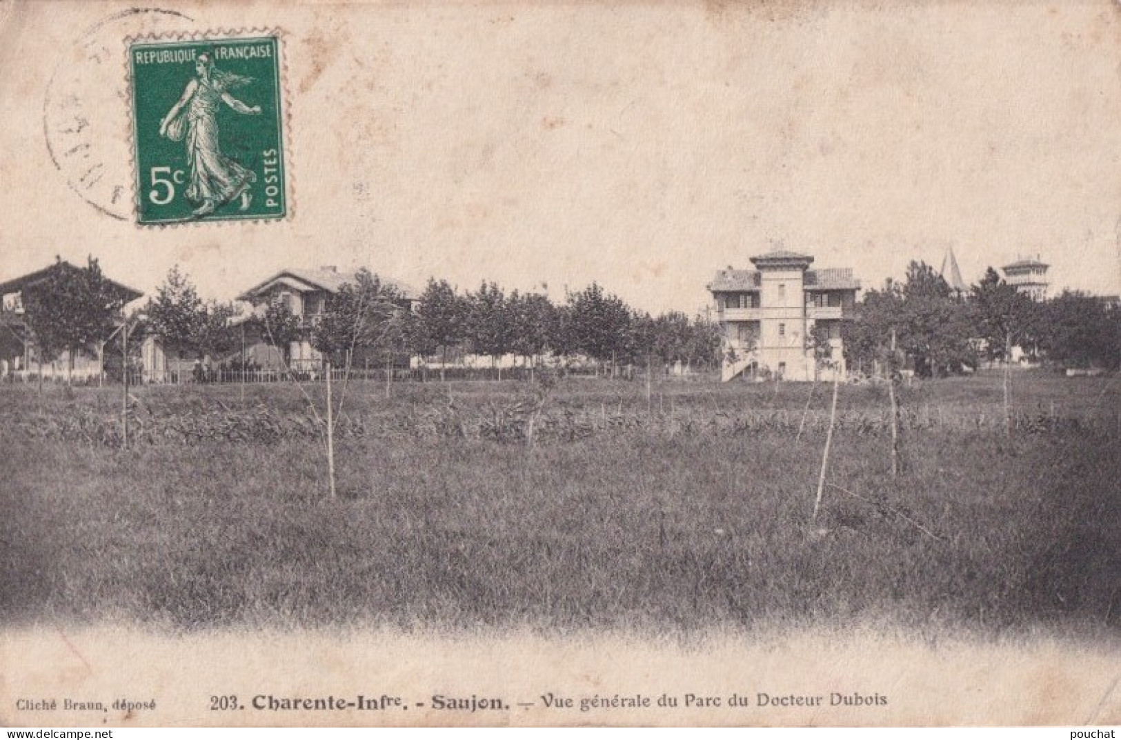 E18-17) SAUJON - VUE GENERALE  DU PARC DU DOCTEUR DUBOIS - EN 1909 - Saujon