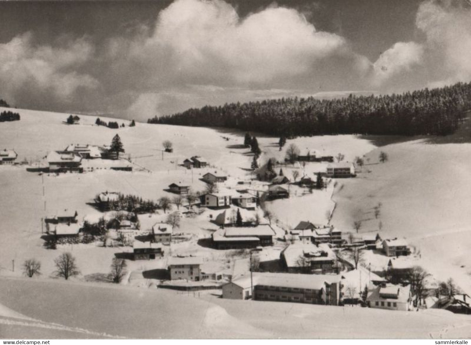 67482 - Todtnau-Todtnauberg - Blick Auf Bergerhöhe - 1967 - Todtnau