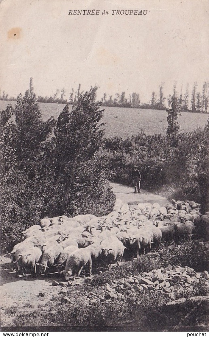 12) AVEYRON - RENTREE DU TROUPEAU -  BERGER AVEC MOUTON - EDIT. DOUZIECH , RODEZ - EN 1919 - ( 2 SCANS )  - Viehzucht