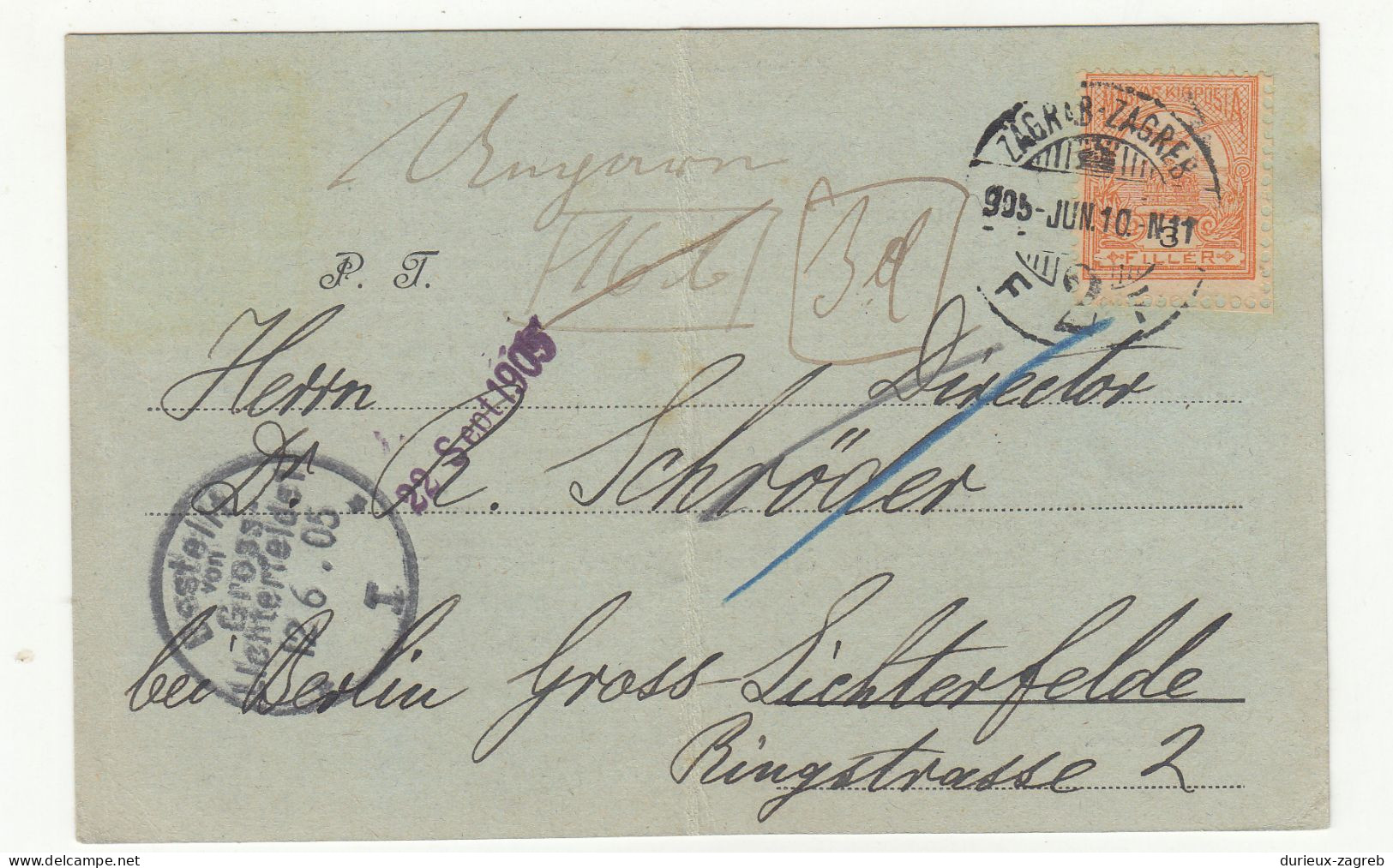 Hungary - Spiridon Brusina Postal Card Posted 1895 Zagreb To Germany B240401 - Kroatien