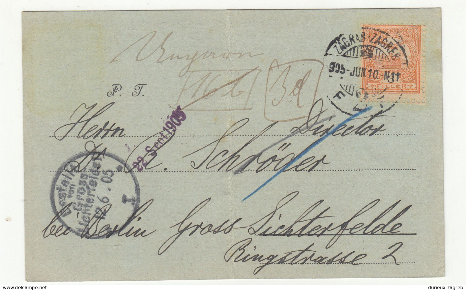 Hungary - Spiridon Brusina Postal Card Posted 1895 Zagreb To Germany B240401 - Croacia