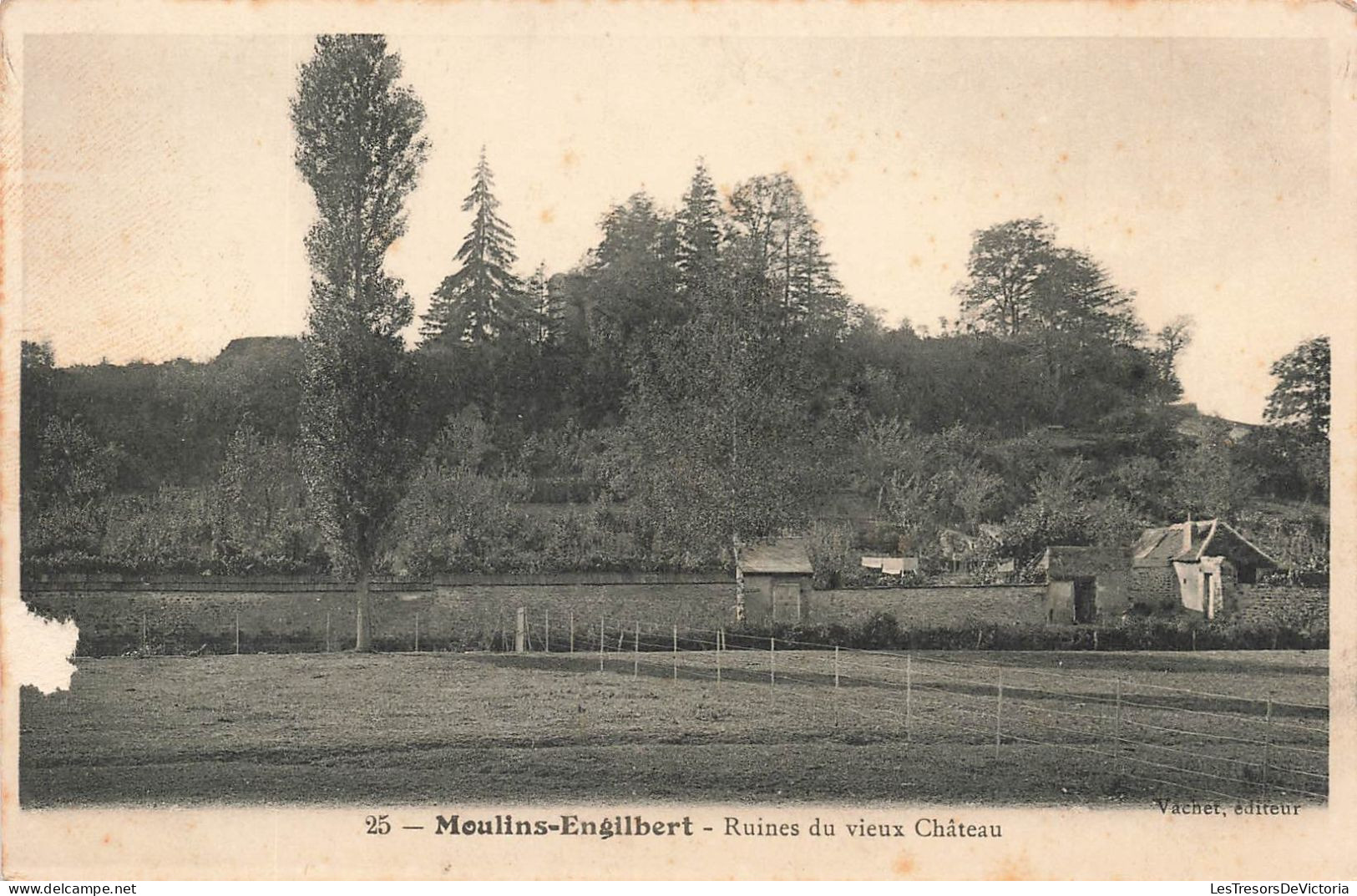 FRANCE - Moulins Engilbert - Ruines Du Vieux Château - Vue D'ensemble - Carte Postale Ancienne - Moulin Engilbert