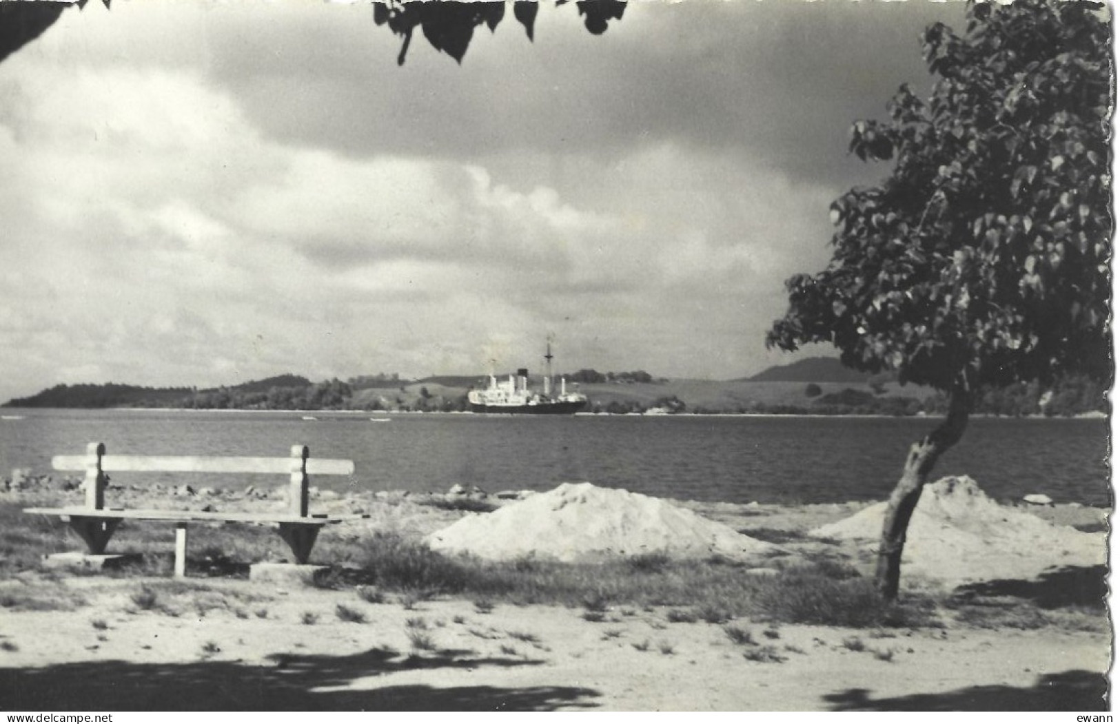 Carte Postale - Trinité (Martinique) - La Rade - La Trinite