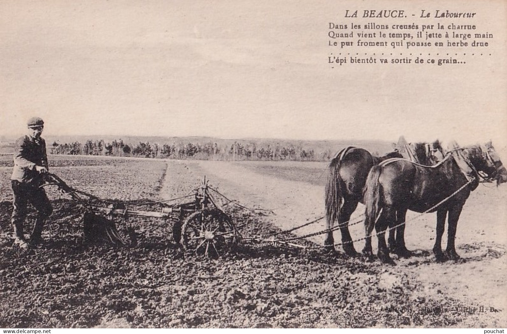 45) ENVIRONS DE PITHIVIERS - LA BEAUCE - LABOUREUR - CHARRUE - CHEVAUX - POEME L'EPI VA SORTIR - DE P. BARBIER - 2 SCANS - Pithiviers