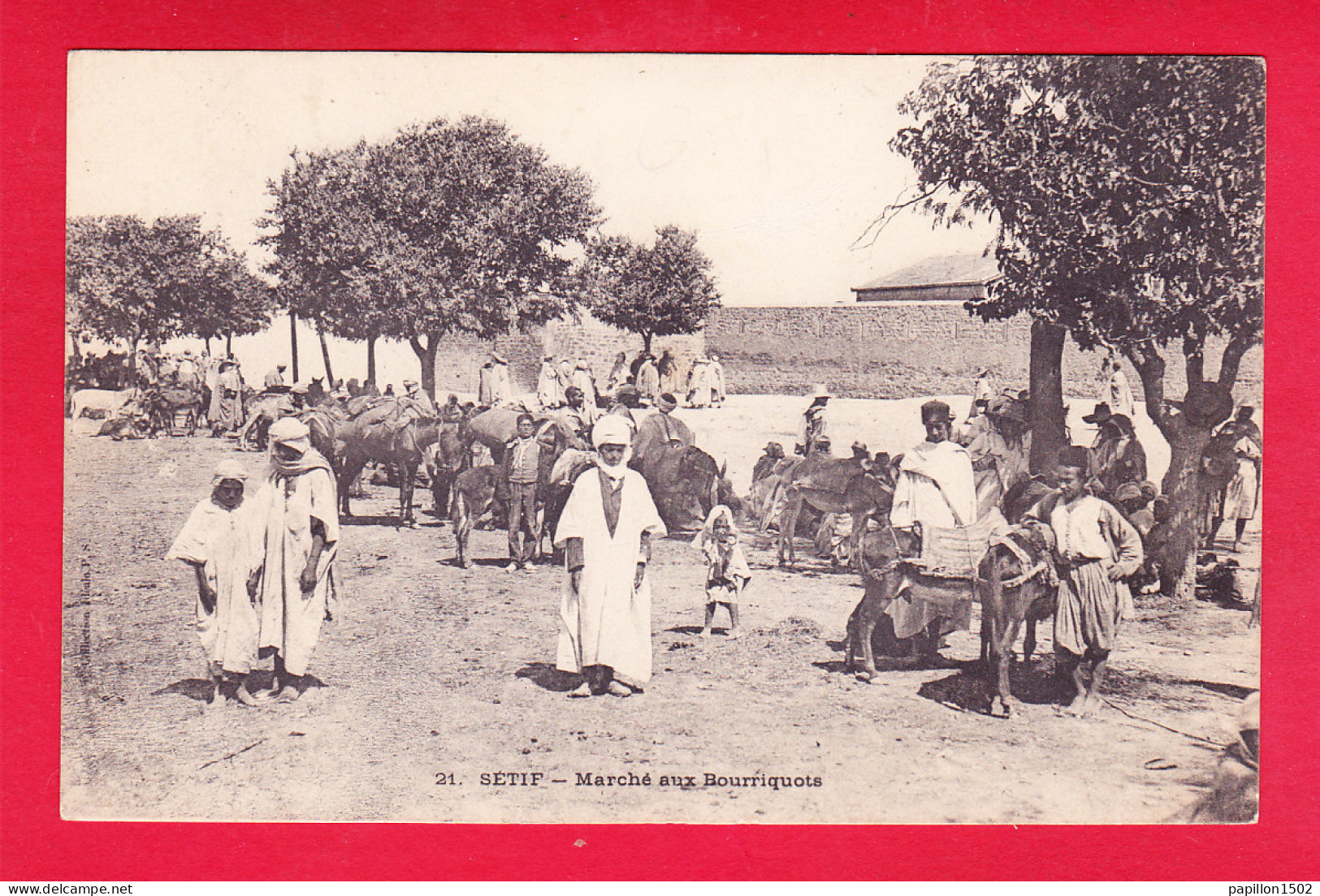 E-Algerie-367A45  SETIF, Marché Aux Bourriquots, Animation, Cpa BE - Sétif