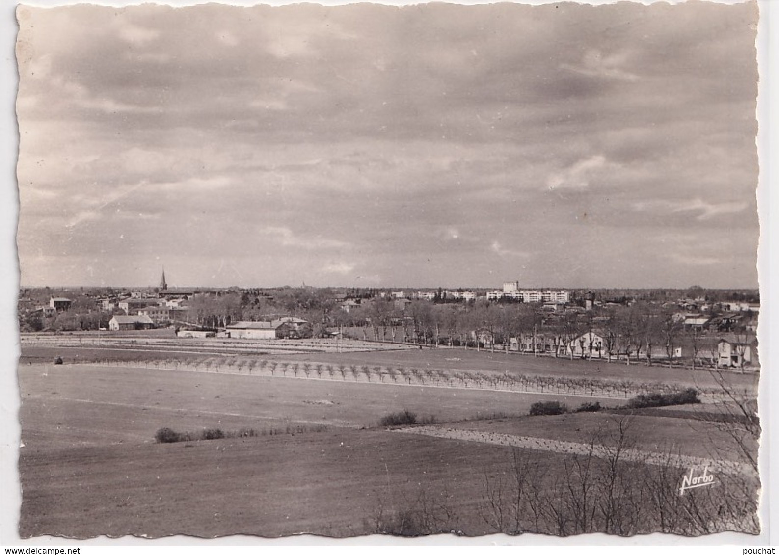 Z14-31) MURET - HAUTE GARONNE - VUE GENERALE  - ( 2 SCANS )  - Muret