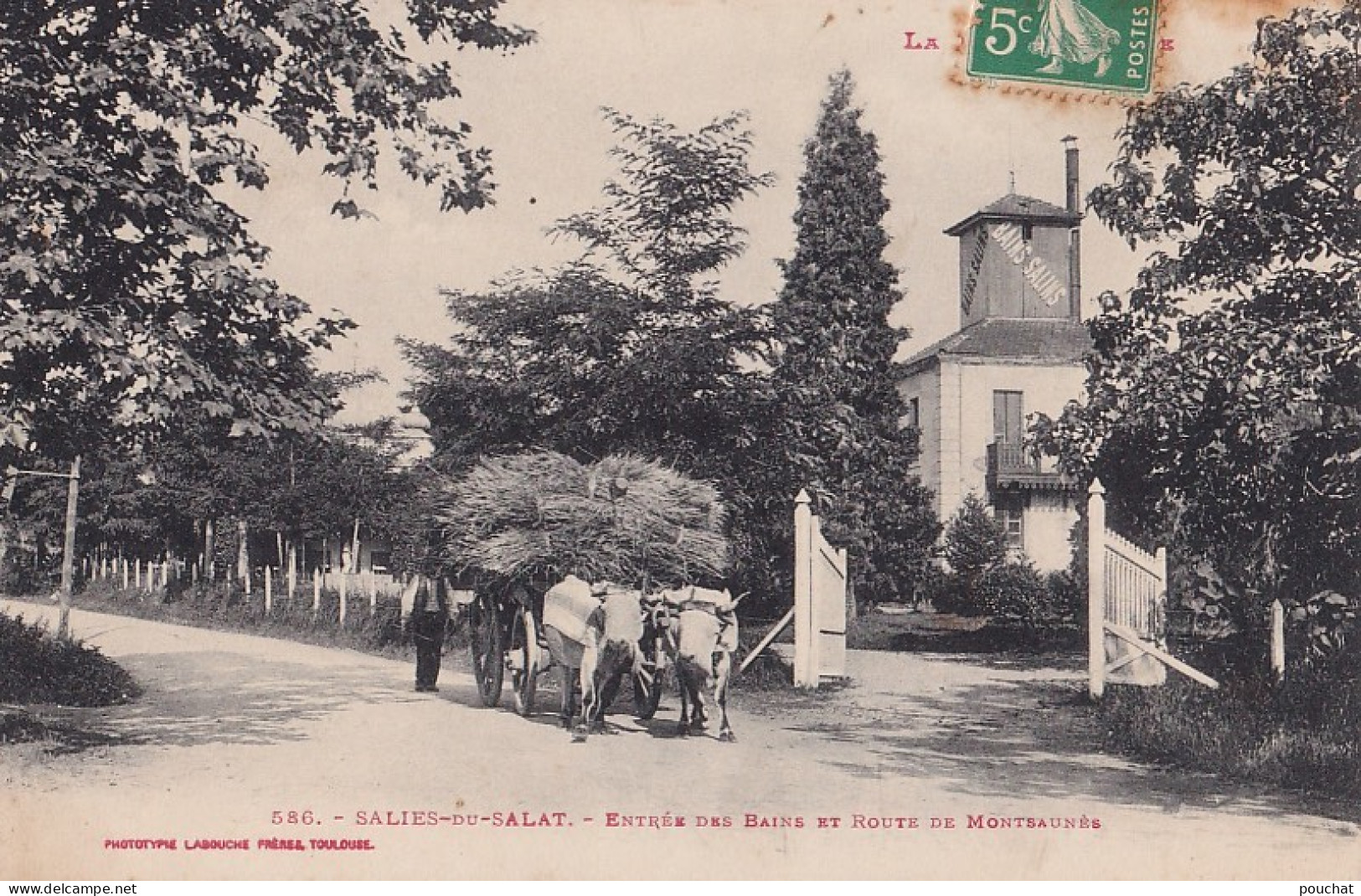 Z16-31) SALIES DU SALAT - ENTREE DES BAINS SALINS ET ROUTE DE MONTSAUNES - PAYSAN AVEC BOEUFS - 2 SCANS - Salies-du-Salat