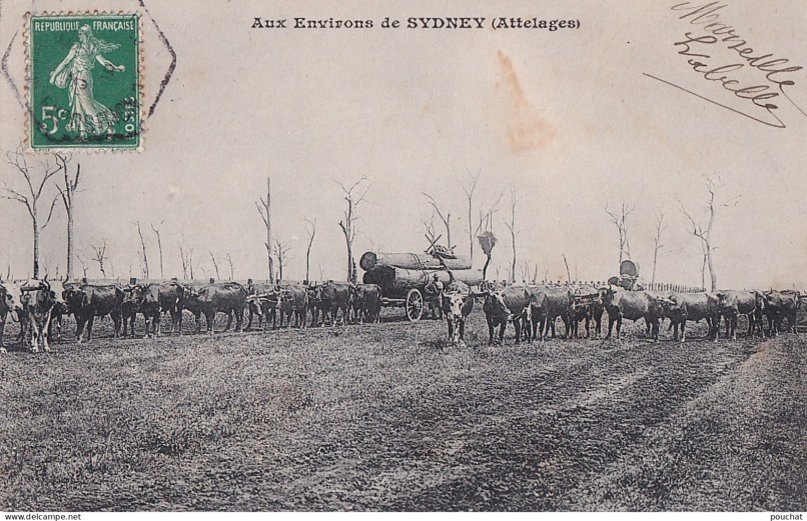  AUX ENVIRONS DE SYDNEY - ATTELAGES - TRANSPORT  DU BOIS + DOS MESSAGERIES MARITIMES - AUSTRALIE - 2 SCANS - Sydney