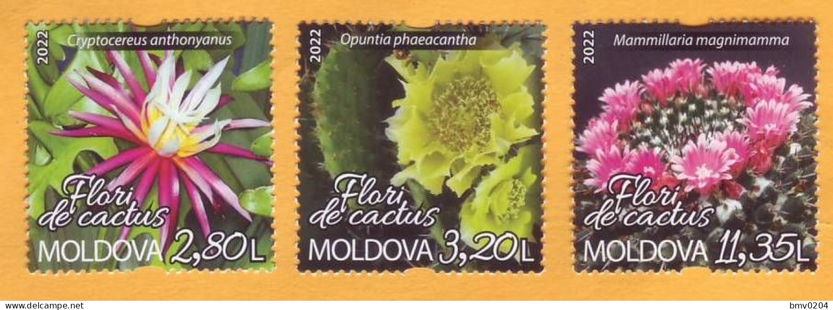 2022  Moldova  „Flora. Cactus Flowers From Botanical Garden.” Set  3v Mint - Moldavie