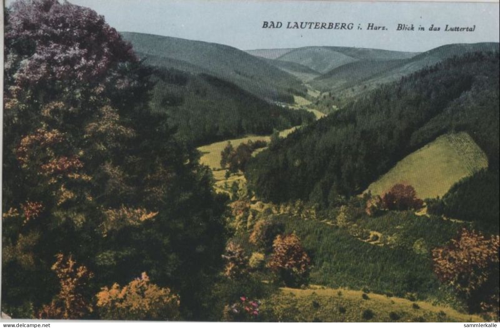 93987 - Bad Lauterberg - Blick In Das Luttertal - 1948 - Bad Lauterberg