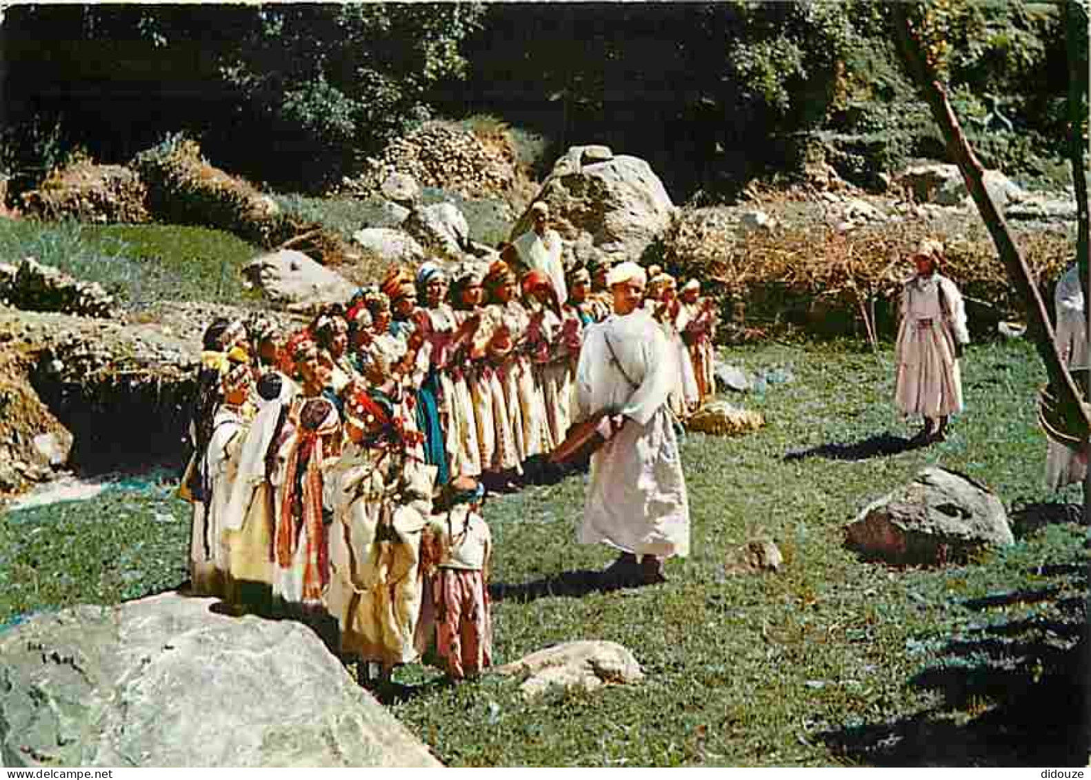 Folklore - Danses - Danses Folklorique - CPM - Voir Scans Recto-Verso - Tänze