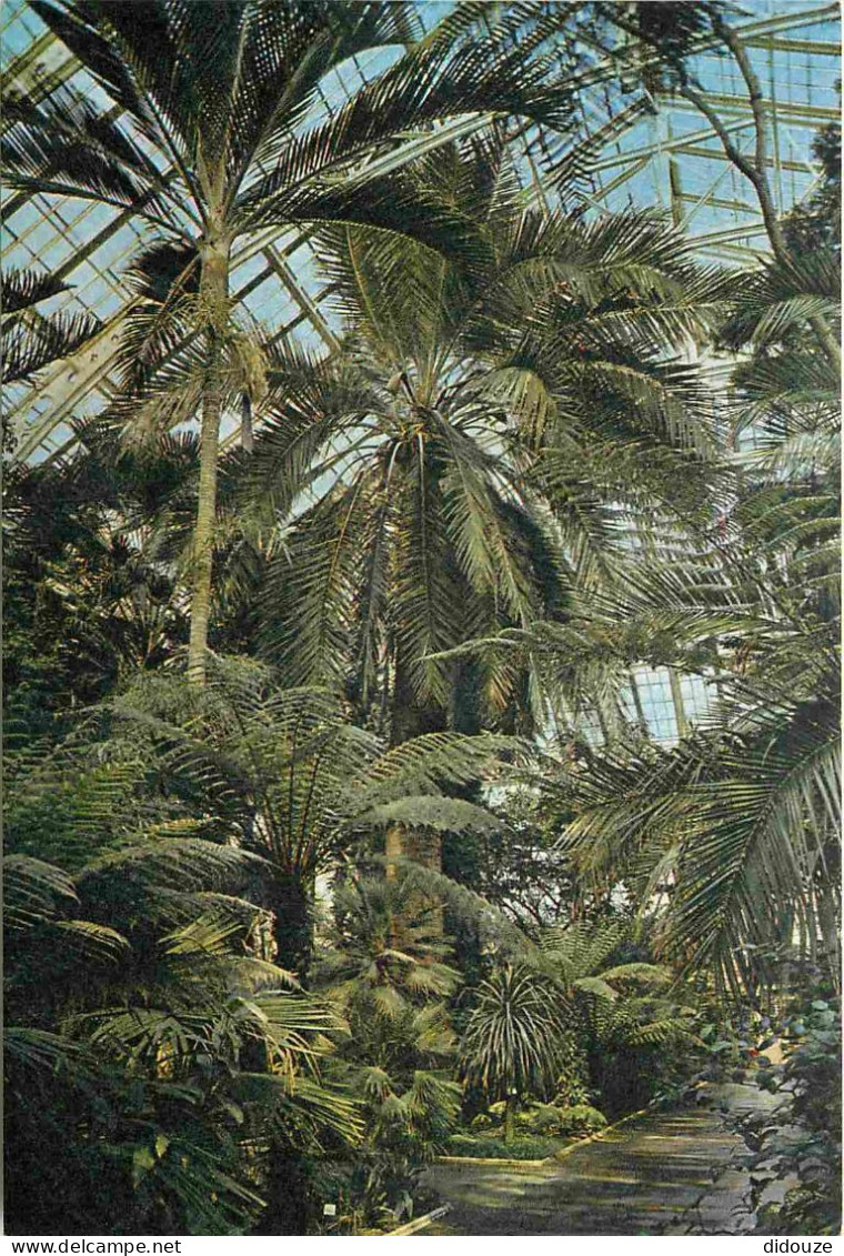 Angleterre - Kew - Royal Botanic Gardens - Temperate House - Surrey - England - Royaume Uni - UK - United Kingdom - CPM  - Surrey